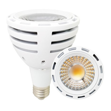 PAR30 30W ROUGE ROSÉ E27 FRESHFOOD 