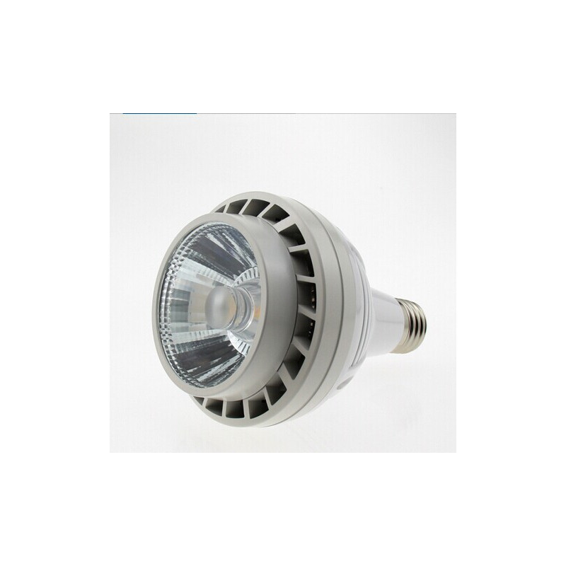 Vous cherchez une Lampe LED ? PAR 38 E27