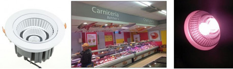 Encastrable blanc 30W économique LED spécial boucheries traiteurs